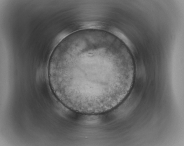 X0000113051338200909031324