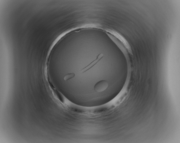 X0000113051340200909031324