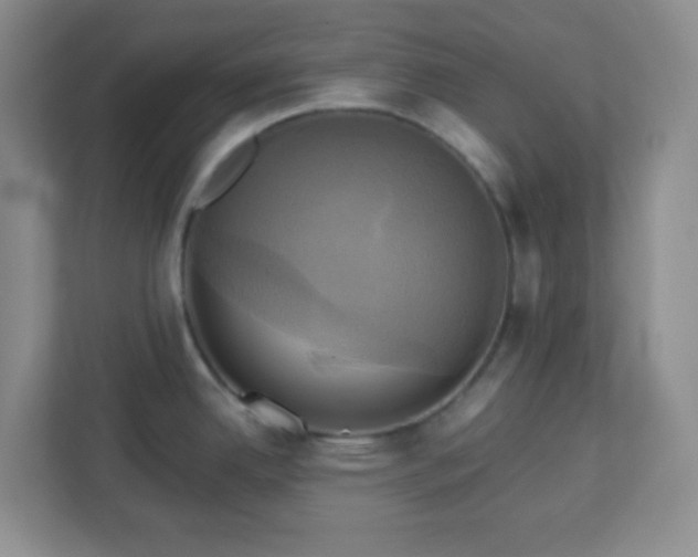 X0000113051342200909031324