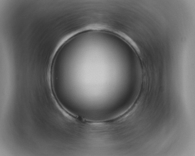 X0000113051343200909031324