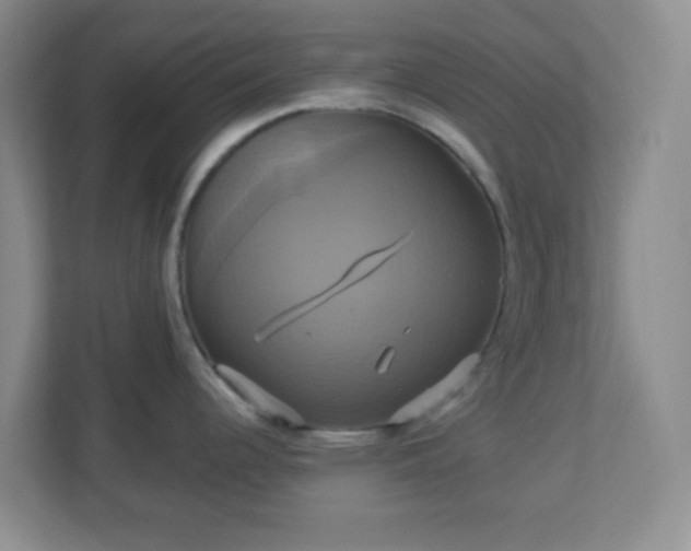 X0000113051344200909031324