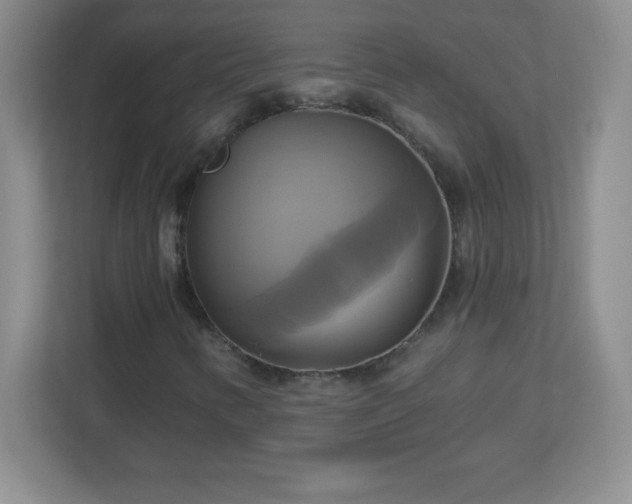 X0000113051346200909031324