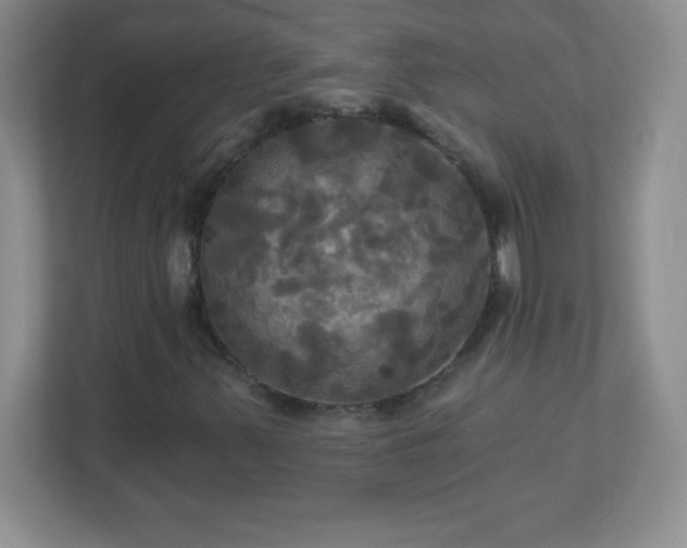 X0000113051347200909031324