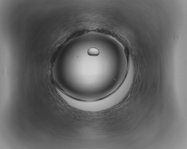 X0000113051349200909031323