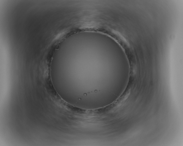 X0000113051350200909031323