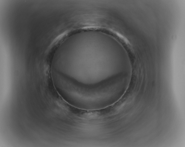 X0000113051351200909031323