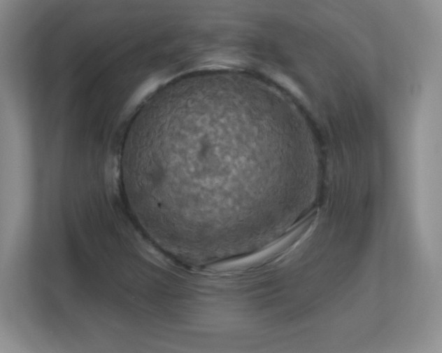 X0000113051355200909031323