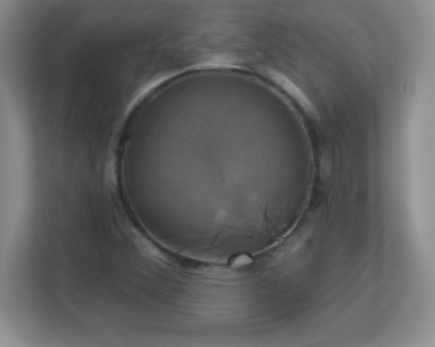 X0000113051356200909031323