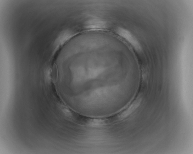 X0000113051357200909031323