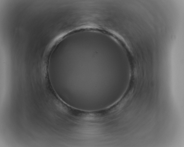 X0000113051359200909031323