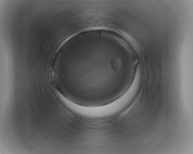 X0000113051361200909031323