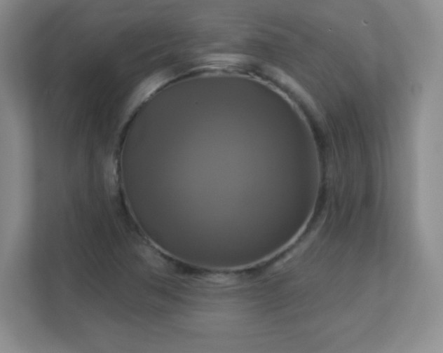 X0000113051362200909031323