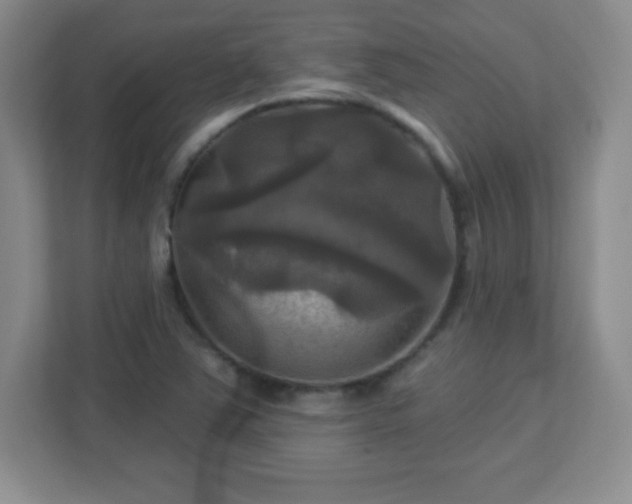 X0000113051363200909031323