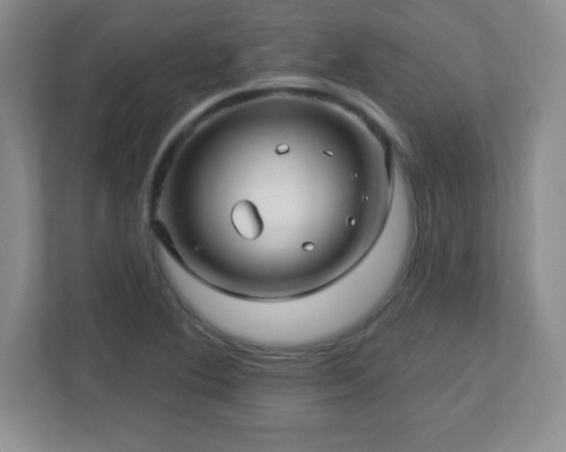 X0000113051364200909031323