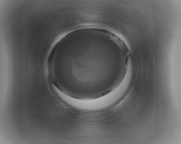 X0000113051365200909031323