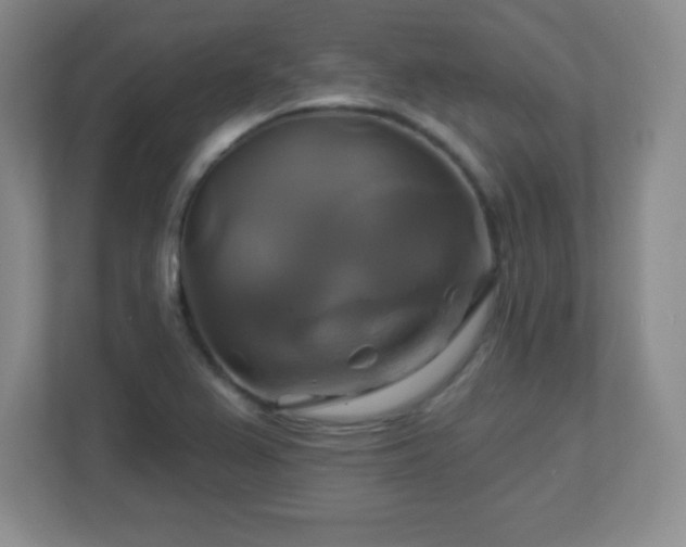 X0000113051367200909031323