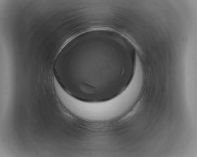 X0000113051369200909031323