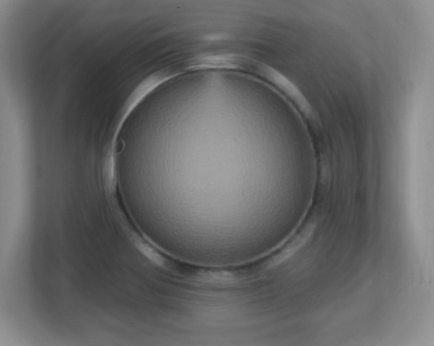 X0000113051370200909031323