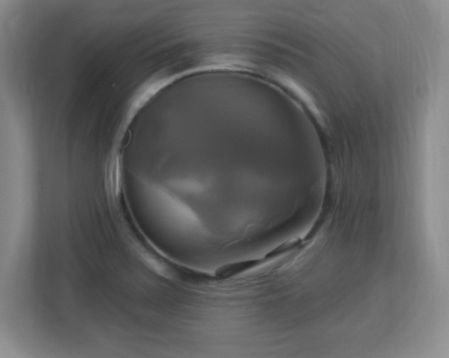 X0000113051371200909031323