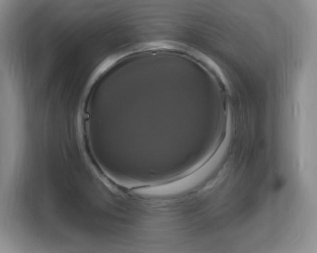 X0000113051373200909031323