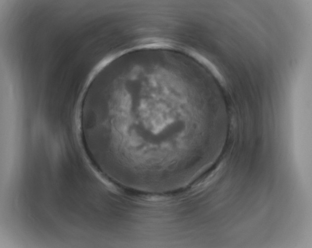 X0000113051375200909031323