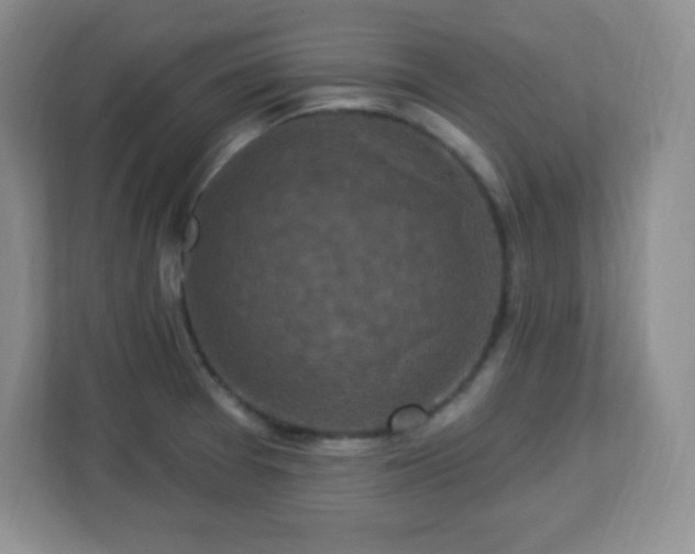 X0000113051377200909031323