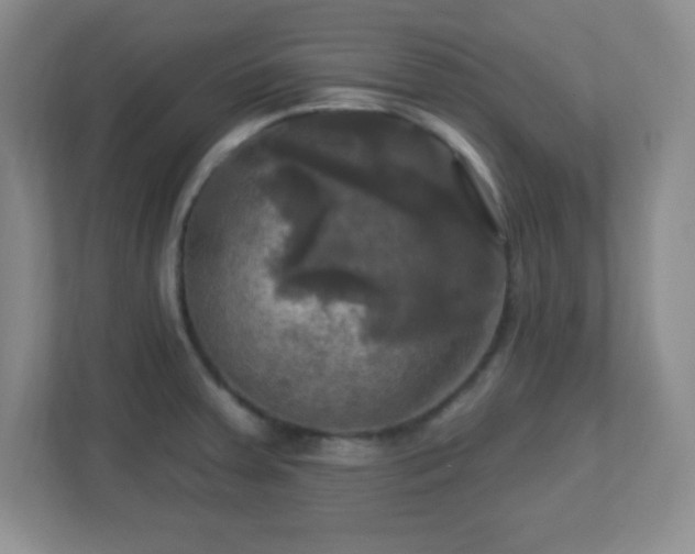 X0000113051379200909031323