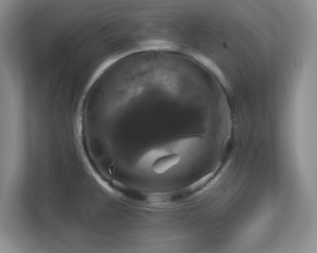 X0000113051383200909031323