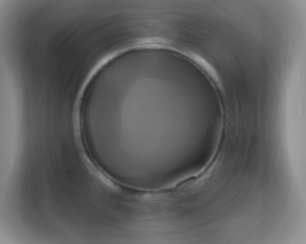 X0000113051384200909031323