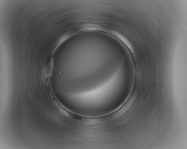 X0000113051385200909031323