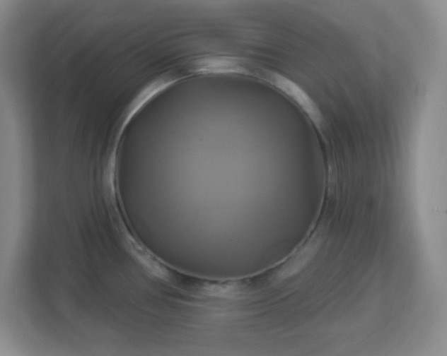 X0000113051386200909031323