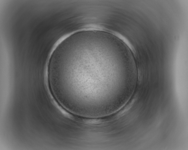 X0000113051387200909031323