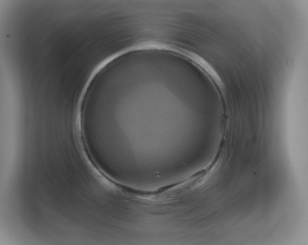 X0000113051388200909031323