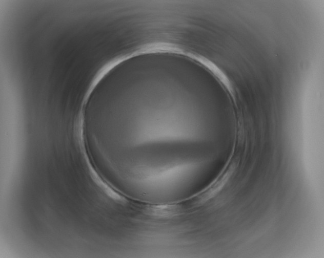 X0000113051390200909031323