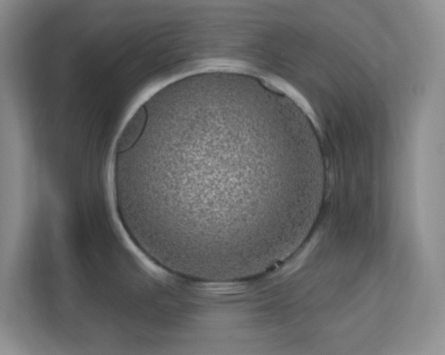 X0000113051391200909031323