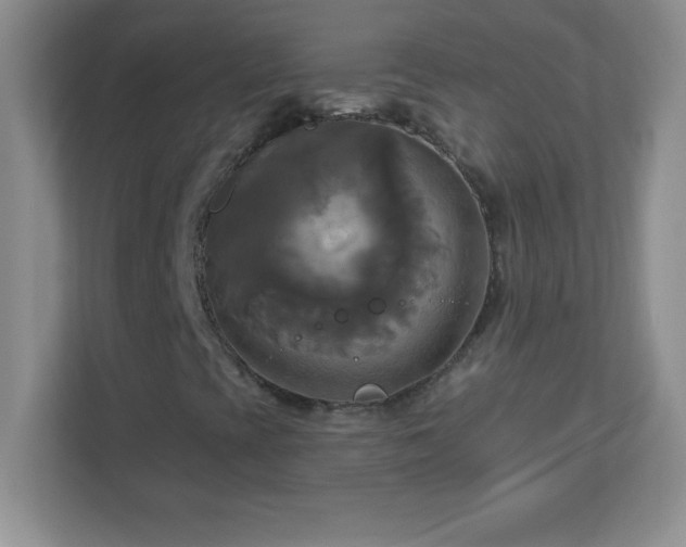 X0000113051393200909031322