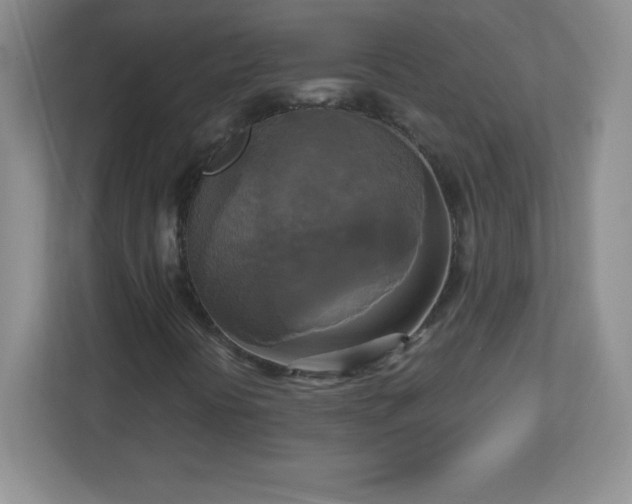 X0000113051394200909031322