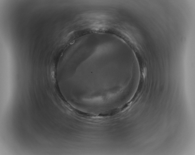 X0000113051396200909031322