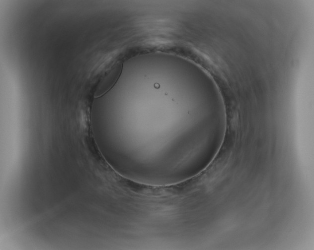 X0000113051397200909031322