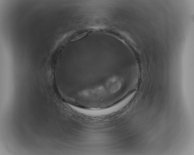 X0000113051398200909031322