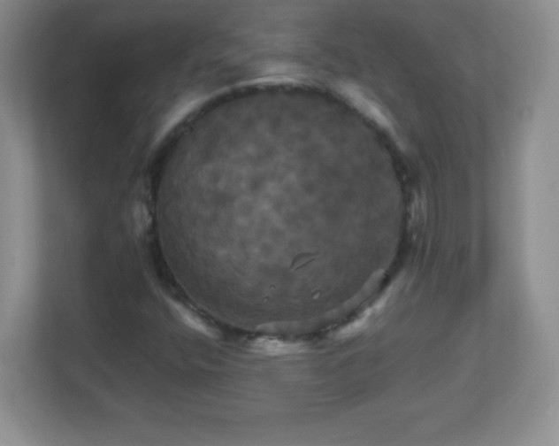 X0000113051400200909031322