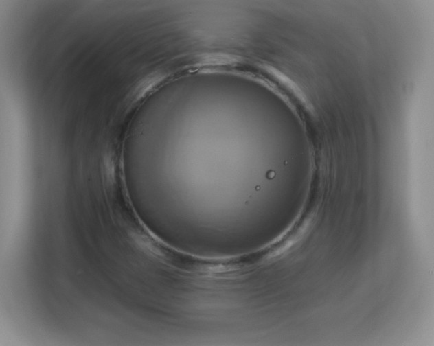 X0000113051401200909031322