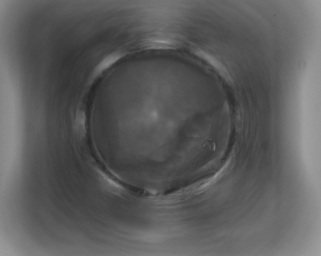 X0000113051402200909031322