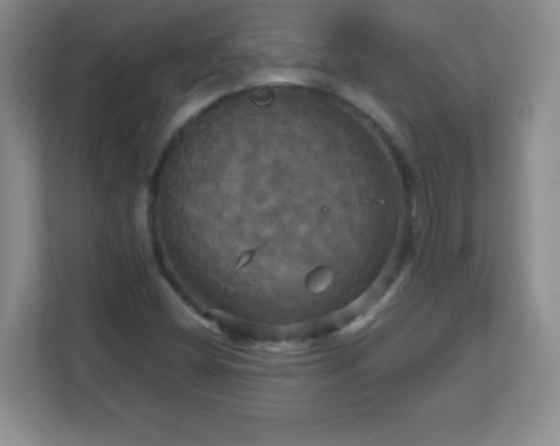 X0000113051404200909031322