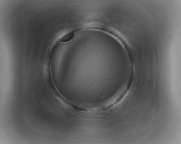 X0000113051405200909031322