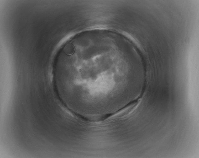 X0000113051406200909031322