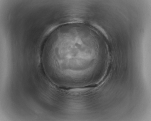 X0000113051407200909031322