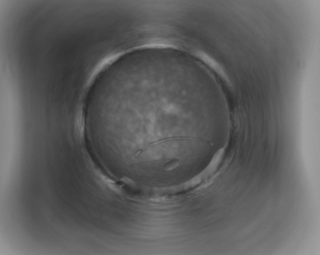 X0000113051408200909031323