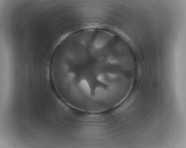 X0000113051409200909031323