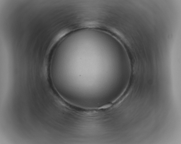 X0000113051410200909031323